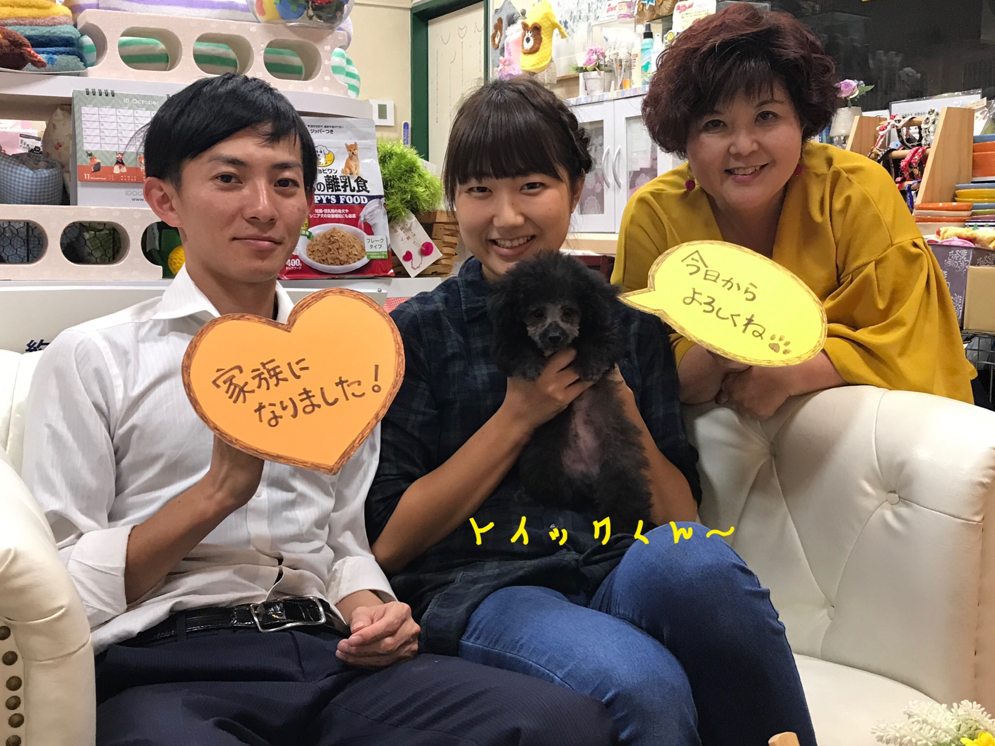 トイプードル シルバー 男の子