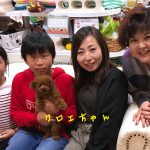 トイプードル お客さまの声 レッド 女の子