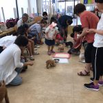 パピーパーティー 新しい家族 子犬