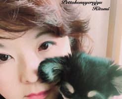 チワワ　ペットコンシェルジュ　女の子　子犬